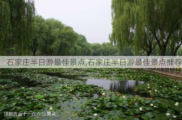 石家庄半日游最佳景点,石家庄半日游最佳景点推荐