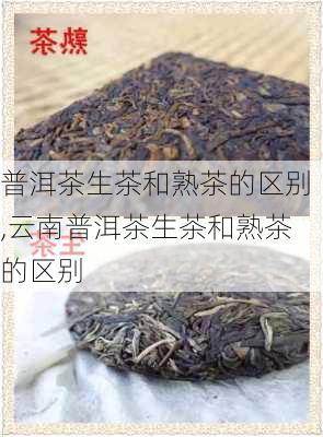 普洱茶生茶和熟茶的区别,云南普洱茶生茶和熟茶的区别