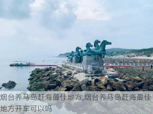 烟台养马岛赶海最佳地方,烟台养马岛赶海最佳地方开车可以吗