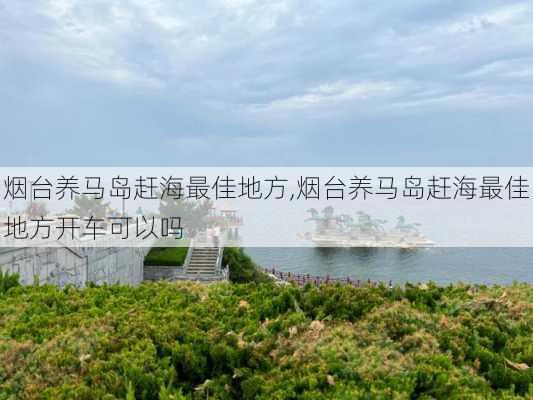 烟台养马岛赶海最佳地方,烟台养马岛赶海最佳地方开车可以吗