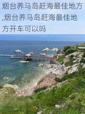 烟台养马岛赶海最佳地方,烟台养马岛赶海最佳地方开车可以吗