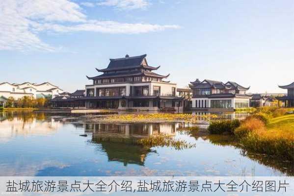 盐城旅游景点大全介绍,盐城旅游景点大全介绍图片