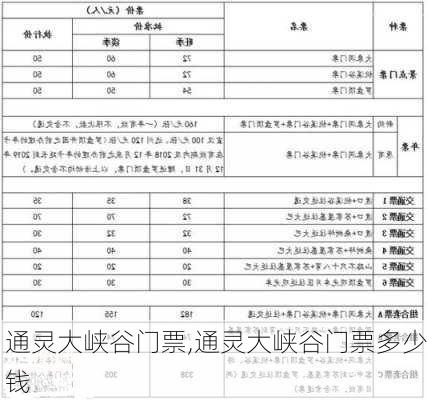 通灵大峡谷门票,通灵大峡谷门票多少钱