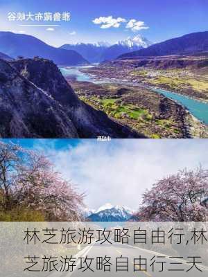 林芝旅游攻略自由行,林芝旅游攻略自由行三天