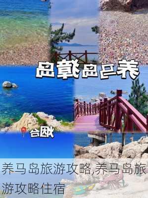 养马岛旅游攻略,养马岛旅游攻略住宿