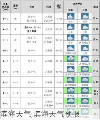 滨海天气,滨海天气预报