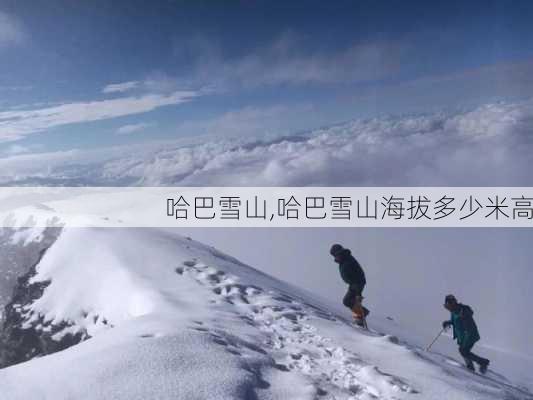 哈巴雪山,哈巴雪山海拔多少米高