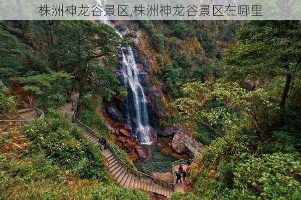 株洲神龙谷景区,株洲神龙谷景区在哪里