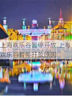 上海欢乐谷暂停开放,上海欢乐谷暂停开放原因