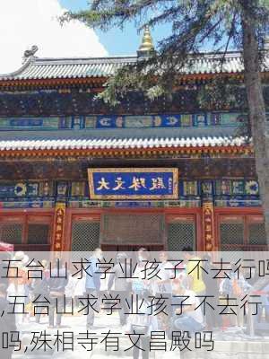 五台山求学业孩子不去行吗,五台山求学业孩子不去行吗,殊相寺有文昌殿吗