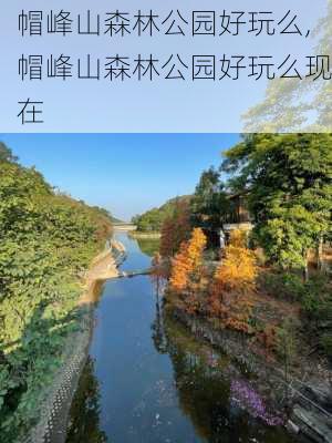 帽峰山森林公园好玩么,帽峰山森林公园好玩么现在