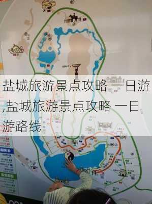 盐城旅游景点攻略 一日游,盐城旅游景点攻略 一日游路线