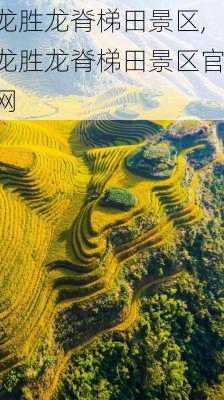 龙胜龙脊梯田景区,龙胜龙脊梯田景区官网