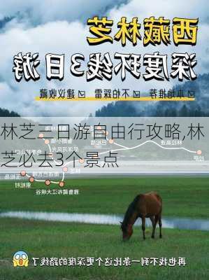 林芝三日游自由行攻略,林芝必去3个景点