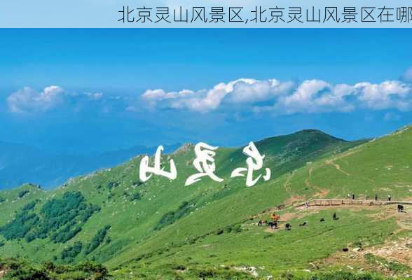 北京灵山风景区,北京灵山风景区在哪