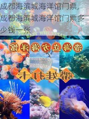 成都海滨城海洋馆门票,成都海滨城海洋馆门票多少钱一张