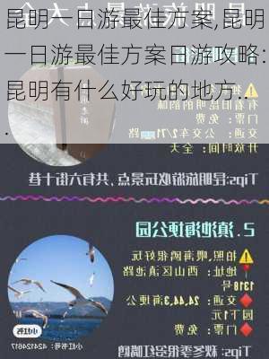 昆明一日游最佳方案,昆明一日游最佳方案日游攻略:昆明有什么好玩的地方...