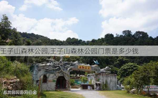 王子山森林公园,王子山森林公园门票是多少钱