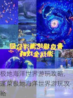 极地海洋世界游玩攻略,蓬莱极地海洋世界游玩攻略