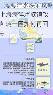 上海海洋水族馆攻略,上海海洋水族馆攻略 转一圈如何再回去