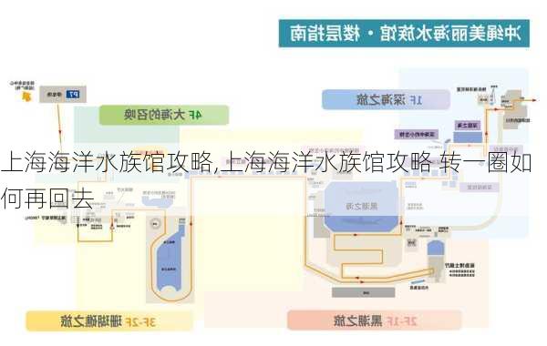 上海海洋水族馆攻略,上海海洋水族馆攻略 转一圈如何再回去