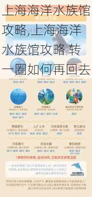 上海海洋水族馆攻略,上海海洋水族馆攻略 转一圈如何再回去