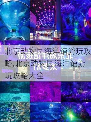 北京动物园海洋馆游玩攻略,北京动物园海洋馆游玩攻略大全