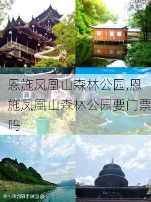 恩施凤凰山森林公园,恩施凤凰山森林公园要门票吗