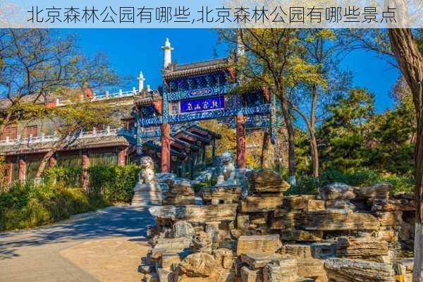 北京森林公园有哪些,北京森林公园有哪些景点