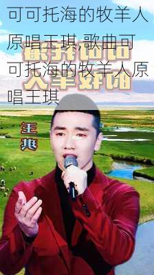 可可托海的牧羊人原唱王琪,歌曲可可托海的牧羊人原唱王琪