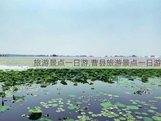 旅游景点一日游,曹县旅游景点一日游