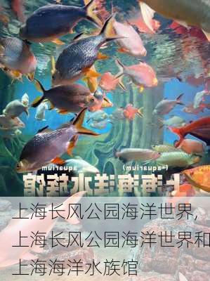 上海长风公园海洋世界,上海长风公园海洋世界和上海海洋水族馆