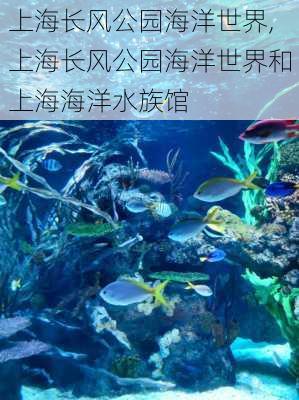 上海长风公园海洋世界,上海长风公园海洋世界和上海海洋水族馆