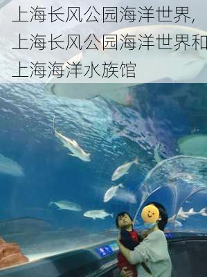 上海长风公园海洋世界,上海长风公园海洋世界和上海海洋水族馆