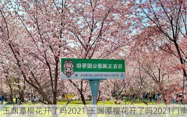 玉渊潭樱花开了吗2021,玉渊潭樱花开了吗2021门票