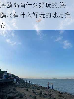 海鸥岛有什么好玩的,海鸥岛有什么好玩的地方推荐