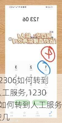 12306如何转到人工服务,12306如何转到人工服务按几