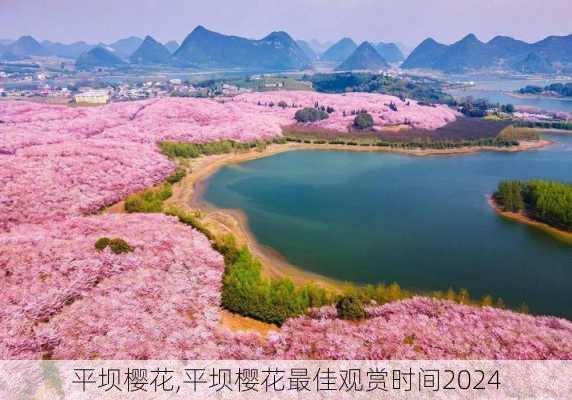 平坝樱花,平坝樱花最佳观赏时间2024