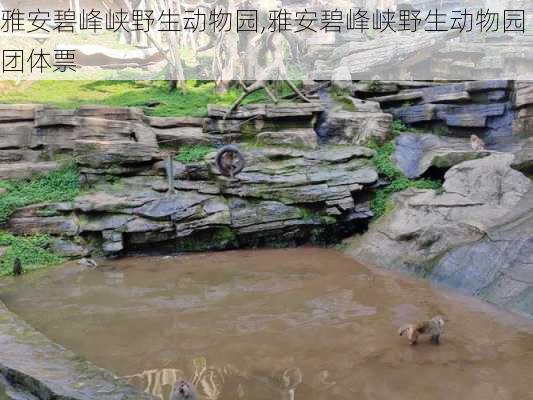 雅安碧峰峡野生动物园,雅安碧峰峡野生动物园团体票