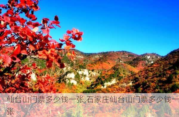 仙台山门票多少钱一张,石家庄仙台山门票多少钱一张