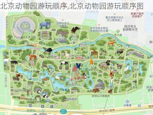 北京动物园游玩顺序,北京动物园游玩顺序图