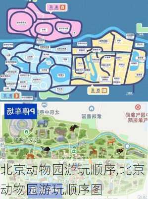 北京动物园游玩顺序,北京动物园游玩顺序图