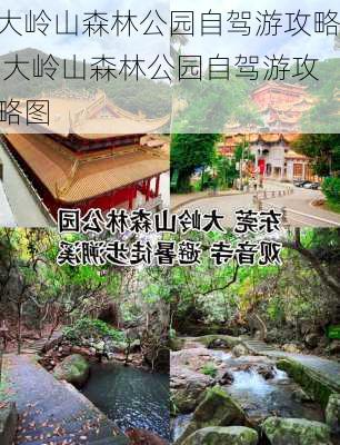 大岭山森林公园自驾游攻略,大岭山森林公园自驾游攻略图