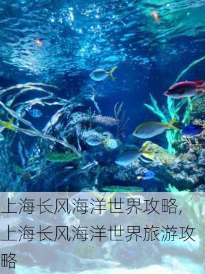 上海长风海洋世界攻略,上海长风海洋世界旅游攻略