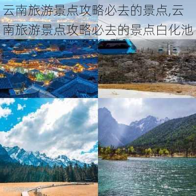 云南旅游景点攻略必去的景点,云南旅游景点攻略必去的景点白化池