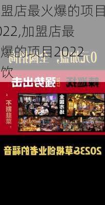 加盟店最火爆的项目2022,加盟店最火爆的项目2022餐饮