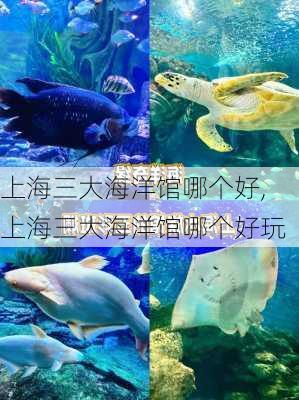 上海三大海洋馆哪个好,上海三大海洋馆哪个好玩