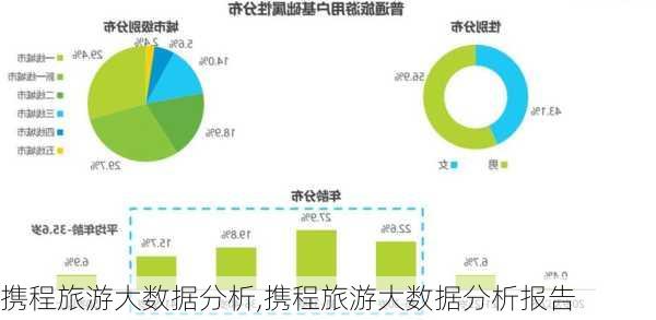 携程旅游大数据分析,携程旅游大数据分析报告