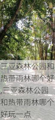 三亚森林公园和热带雨林哪个好,三亚森林公园和热带雨林哪个好玩一点