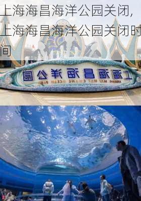 上海海昌海洋公园关闭,上海海昌海洋公园关闭时间